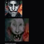 farmers totally normal cat