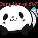 lúc đó đag chạy shjp