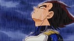 Vegeta crying in the rain - Sound