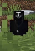 Evil hunter