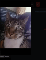 spring lock failure steptodown