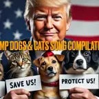 They're eating the dogss - Sound