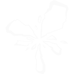 Tu Preferes Version Kaaris