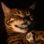 le ptit bledar (copy)