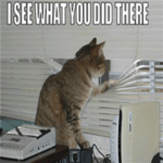 scally milano uglystephan ya xocu tebya tratit