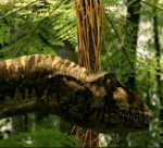 Allosaurus Ambush Walking With Dinosaurs SFX - Sound