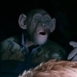 Oh nooo war for the planet of the apes