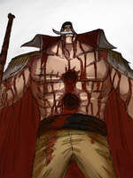 THE ONE PIECE IS REAL