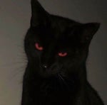 Spongebob Past lives Ai