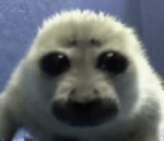 Nasty Dog - [ Censored ]