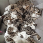 I move now over