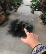 is it okay if i touch you??