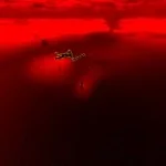 whistle occurrence pt2