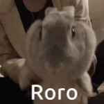Roro