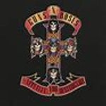 Welcome to the jungle startup x kevin