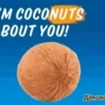 COCONUT dance