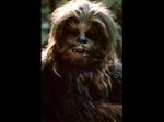 Chewbacca Sound