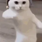 UxqCl1U0pC4nhcEVN5Tjnw