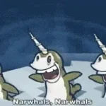 narwhal song