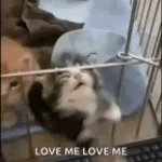 Love Me