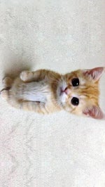 AAAAUUUGHHHH - Sound