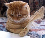 дорогой дневник мне не подобрать слов чтобы описать боль - Sound