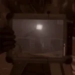 Polycephaly voice before they find them