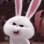 KUKU BUU