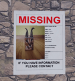 no more fortnite