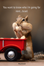 He's a Pirate - Sound