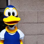 Royalty Music (Free To Use)