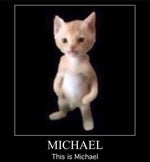 Michael cat