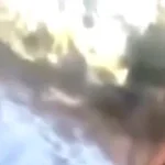 victor victor victor victor