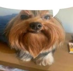 ronnie mcnutt samsung ringtone