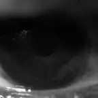 glass-smash-6266 (1)