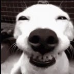 kapat lan o çeneni anani - Sound