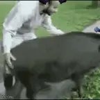 van-a-sortear-el-chancho_1wwbxDg