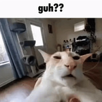 ehh ehh eh eh