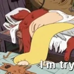 ich gehe mit meiner laterne