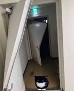 metal pipe falling sound effect