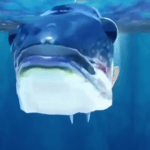 Mamaguevo , digo glo glo glo