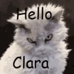BONJOUR CLARA