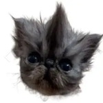 Empty Out Your Pockets (instrumental)9