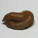 Smerdone Pettenon