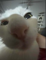 You can ask for flowers