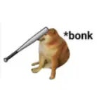 [BONK]