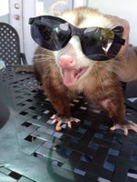 Yuji Itadori [AMV] Skyfall (Jujutsu Kaisen) (320 kbps)