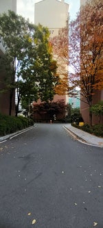 I won the bet with my friend