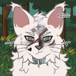 UN UN UN UN UN (meme)