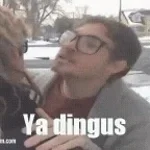 Dingus